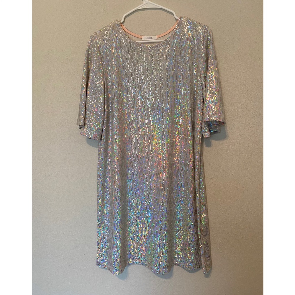 Sequin Dress- New without tags!